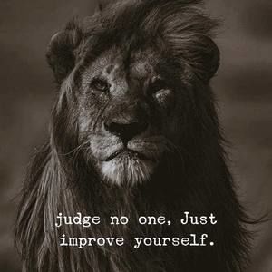 Meet your Posher, Carolyn